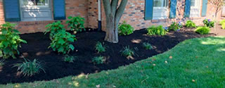 Landscape improvements in Lexington Kentucky