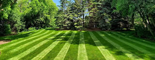 Lexington Kentucky lawn maintenance by Lexcut