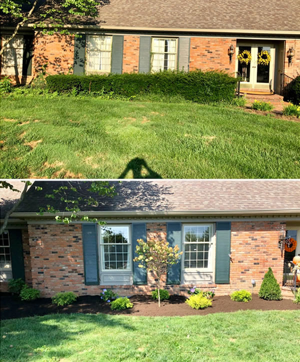 Before and after landscape improvements